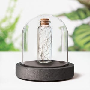 May include: A clear glass bottle with a cork stopper, containing strands of hair, sits under a glass dome. The dome rests on a dark gray, circular base. The background is blurred with green foliage.