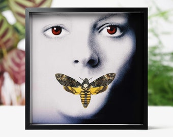 Framed Death's Head Moth - Silence of the Lambs Taxidermy Entomology Insect Bug Art
