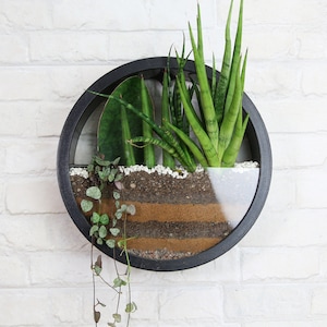 Pack of 2 - Wall Hanging Plant Terrarium, Container, gift, Hanging Terrarium,  Wall Hanging Succulent Planter (Plants not included)
