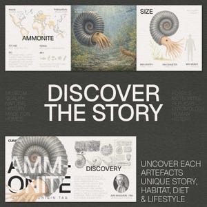 Pu&ograve; includere: Un grafico grigio scuro con la scritta "DISCOVER THE STORY" in grandi lettere bianche. Il grafico include illustrazioni di ammoniti, una mappa e testo su fossili, meteoriti e storia. Il testo "AMMONITE" &egrave; anche visibile.