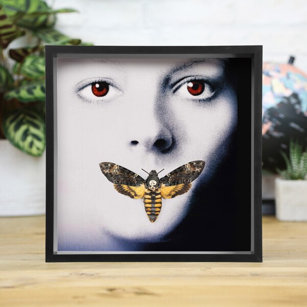 Deaths Head Moth (Acherontia Atropos) Silence of The Lambs Handcrafted Entomology Frame / Film Poster / Movie Memorabilia / Death Head