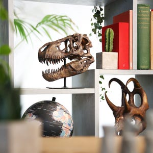 手描きの大型パキケファロサウルスの頭蓋骨恐竜彫刻 - 3D樹脂化石