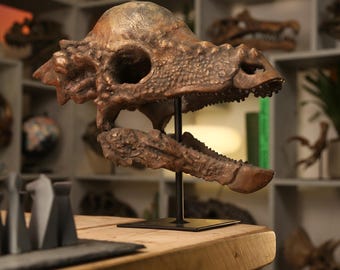 XL Hand-Painted Pachycephalosaurus Skull Dinosaur Sculpture Museum-Quality 3D Resin Fossil Model on Black Metal Stand, Statement Home Decor