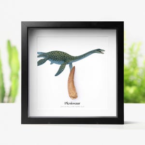Può includere: Stampa incorniciata nera con un'illustrazione di un plesiosauro verde e blu e un fossile marrone. Il testo in basso recita "Plesiosaur 202-66 MILLION YEARS OLD". L'opera d'arte è su sfondo bianco.