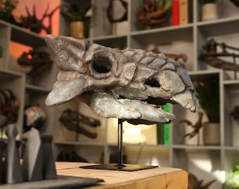 XL Anklyosaurus Hand-Painted Skull Dinosaur Sculpture – Museum-Quality 3D Resin Fossil Model on Black Metal Stand, Statement Home Decor
