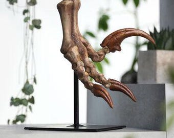 Large Hand-Painted Velociraptor Killing Claw Dinosaur Sculpture – 3D Resin Fossil Model on Black Metal Stand, Statement Home Decor