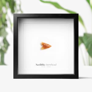 Neolithic Arrowhead Real Authentic Archaeology Ancient Fossil Museum Quality Box Frame Wall Hanging Display Interior Design Home Decor
