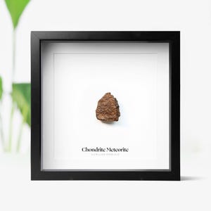 Chondrite Meteorite Real Authentic Space Meteor Fragment  Interior Design Home Decor Ornament Secret Santa Christmas Gift Idea