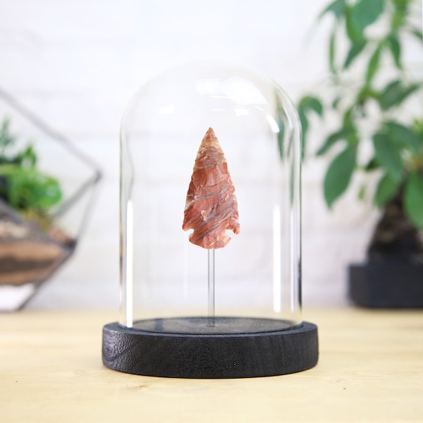 Neolithic Arrowhead (6,000 years old) Glass Bell Jar / Real & Authentic Fossil / Natural History Design / Museum Quality /