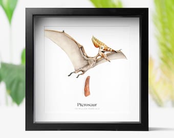 Pterosaur Dinosaur Tooth & Watercolour Illustration: Framed Jurassic Fossil Natural History Decor
