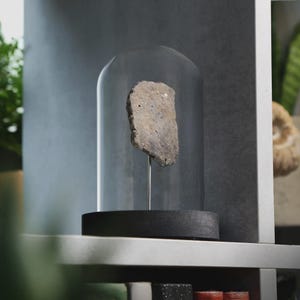 May include: A decorative display featuring a textured, irregularly shaped stone specimen. The stone is mounted on a thin metal rod and encased in a clear glass cloche. The cloche sits atop a black wooden base, creating a modern, minimalist aesthetic.