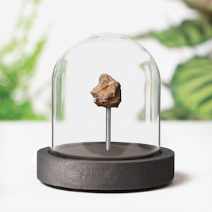 Condrite meteorite autentico frammento di meteora spaziale campana di vetro design d'interni decorazione della casa regalo ornamento Babbo Natale segreto idea regalo di Natale