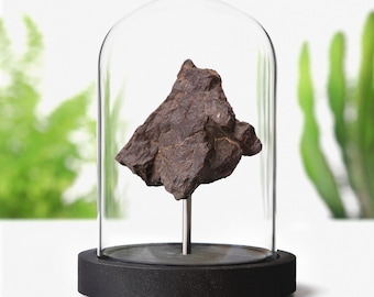 XL Chondrite Authentic Meteorite Glass Dome Bell Jar Space Corporate Gift