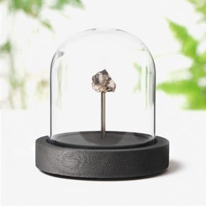 May include: A small, rough-cut, smoky quartz crystal is displayed under a clear glass dome. The crystal is mounted on a thin, silver-colored metal rod, set on a dark gray, round wooden base. The background is blurred with green foliage.
