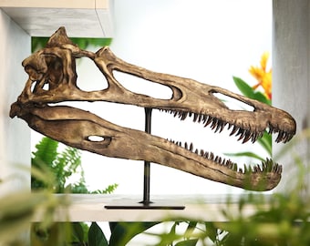 Suchomimus Skull Replica – Anatomically Accurate Dinosaur Model – Museum Quality Prehistoric Tabletop Decor - 3D Printed Home Decoration