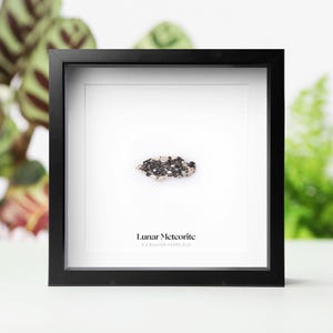May include: Framed lunar meteorite sample. The black and white speckled rock is set against a white background within a black frame. The text "Lunar Meteorite 4.5 Billion Years Old" is below the sample.