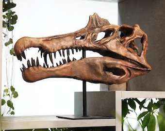 XL Hand-Painted Spinosaurus Skull Dinosaur Sculpture – Museum-Quality 3D Resin Fossil Model on Black Metal Stand, Statement Home Decor