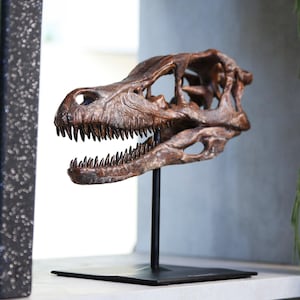 Velociraptor Dinosaur Hand Painted Premium Replica 3D Model Sculpture Art Jurassic Fossil Prehistoric Gift Idea