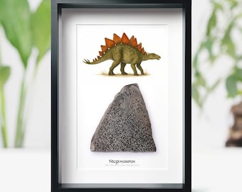 Stegosaurus Dinosaur Bone Watercolour Illustration Authentic Natural History Fossil Wall-Hanging Home Decoration Birthday Gift
