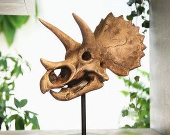 Large Hand-Painted Triceratops Skull Dinosaur Sculpture – Museum-Quality 3D Resin Fossil Model on Black Metal Stand, Statement Home Decor