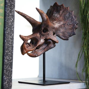 Triceratops Dinosaur Hand Painted Premium Replica 3D Model Sculpture Art Jurassic Dinosaur Fossil Gift Idea