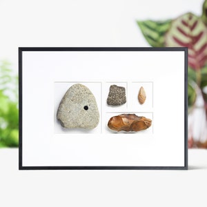 Neolithic Collection Real Authentic Archaeology Ancient Fossil Museum Quality Box Frame Wall Art Interior Design Home Decor