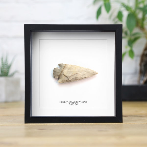 Neolithic Arrowhead (5,000 Years Old) Frame - Archaeology Ancient History / Real & Authentic Fossil / Natural History / Museum Quality