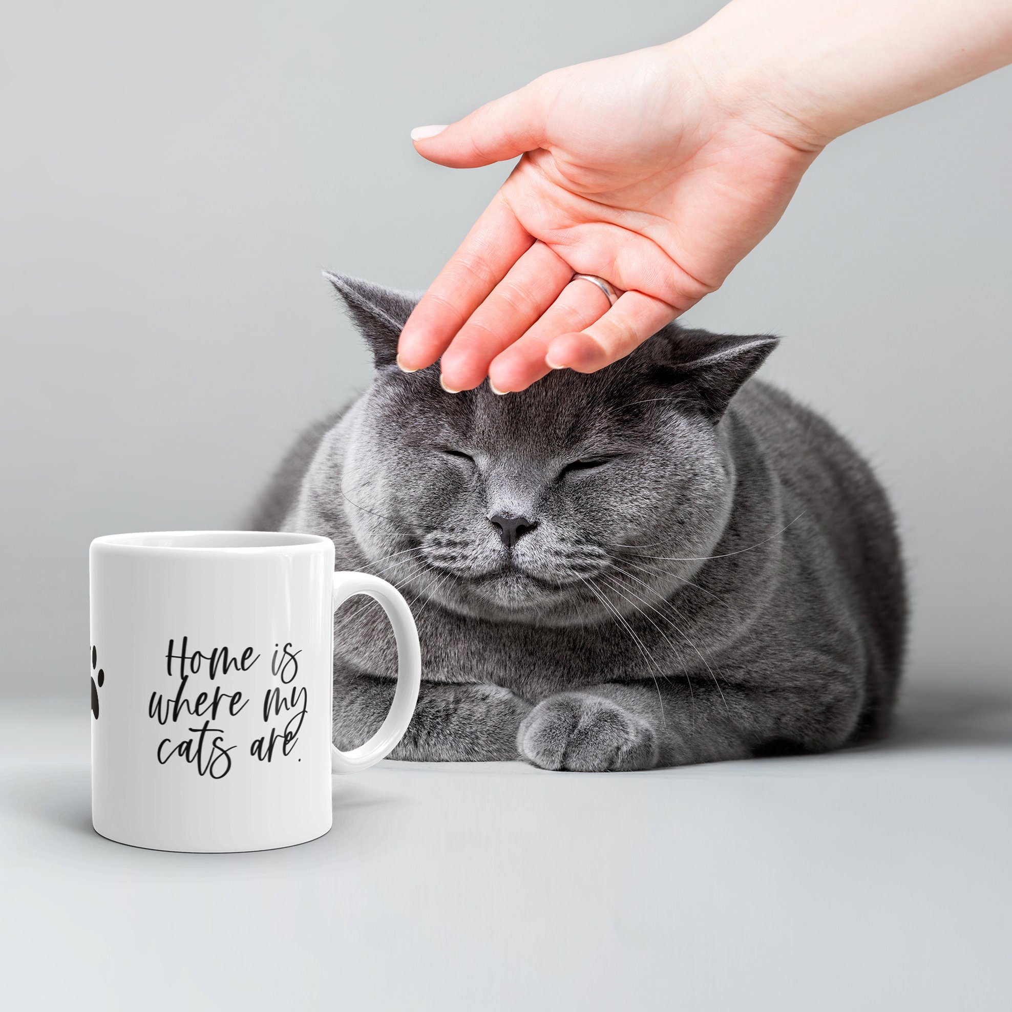 Cat mug Home is where my cats are Cat Lover Gift Crazy Cat | Etsy