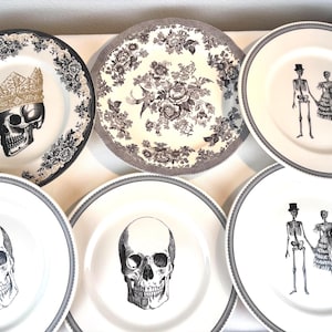 Vintage Royal Stafford Halloween Plates - Gothic Skull & Pheasant Design - Set of 6