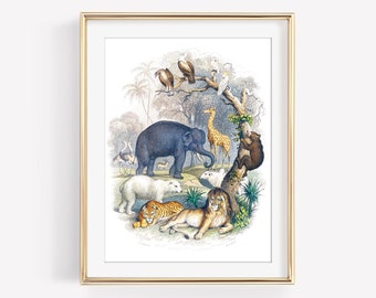 Wild Animals Baby Room Digital Art Print. Oliver Goldsmith.Instant Digital Download. Zoo Animals Nursery Art Print.