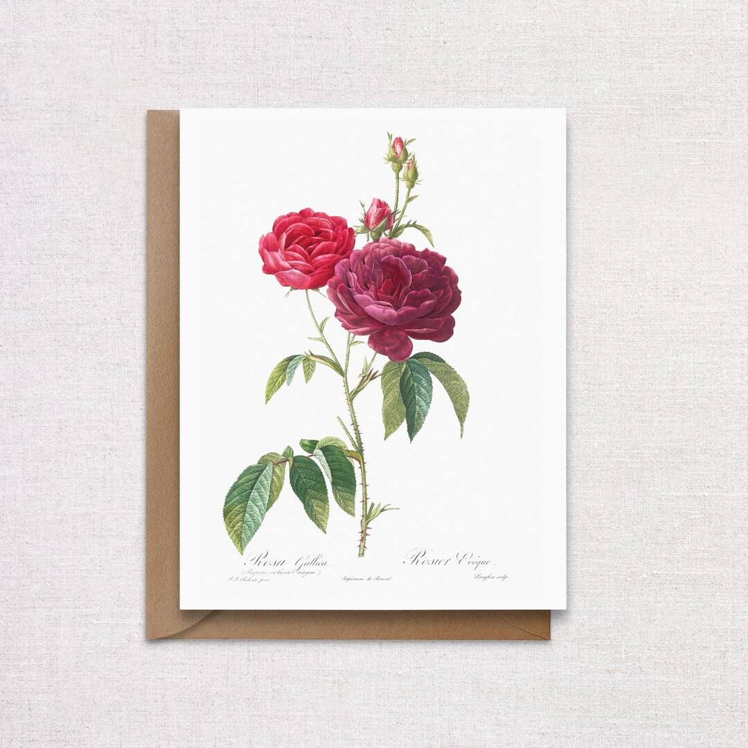 Vintage Floral Greeting Card. Red Rose Flower Card. - Etsy