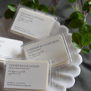Wax Melts | Scented Soy Wax | Soy Wax Tarts | Wax Melts for Warmer | Gift Ideas | 2.75 oz. Wax Melts | Hand Poured