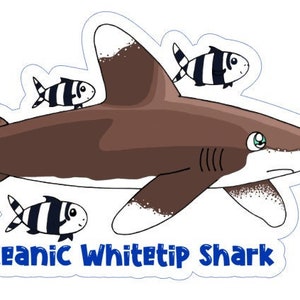 Oceanic Whitetip Shark Sticker