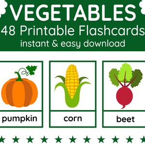 48 VEGETABLES Flashcards | Printable Flashcards | Flashcards for Kids | English Teaching