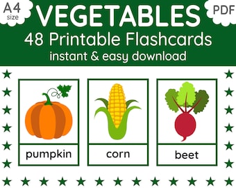 Vegetables Flashcards | 48 Printable Cards for Kids (Digital PDF Download)