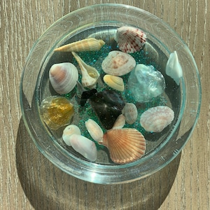 Decorative tray-Cute seashell acrylic resin dish