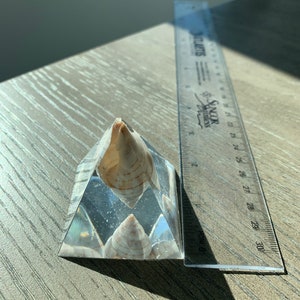 Paperweight Shell pyramid