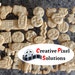 Creative Pixel Solutions