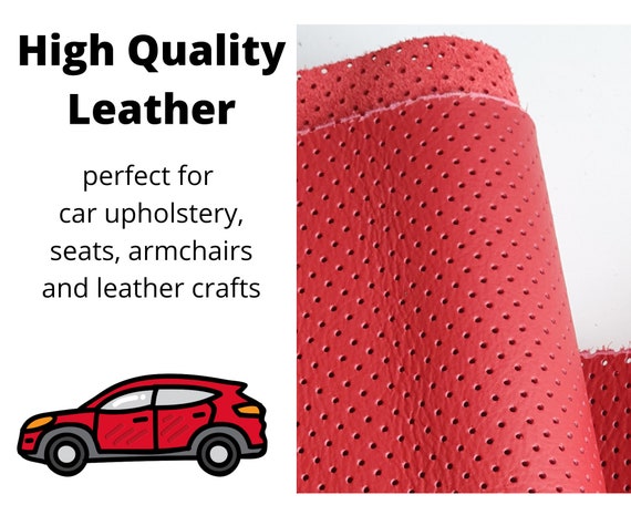Leather Upholstery Paint for Cars & Furniture