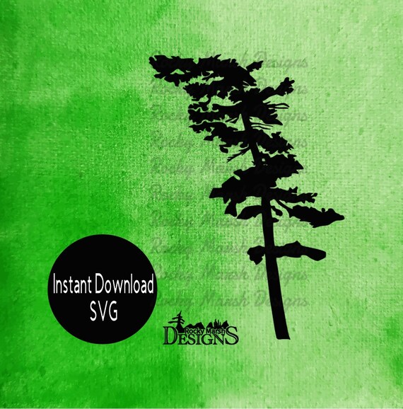 Tree Svg White Pine Svg Pine Tree Svg Instant Download Etsy