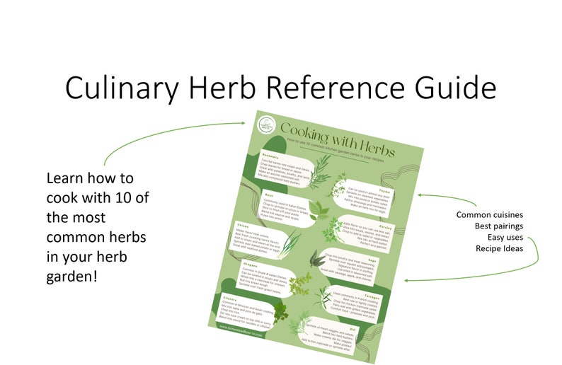 Culinary Herb Reference Guide Printable image 3