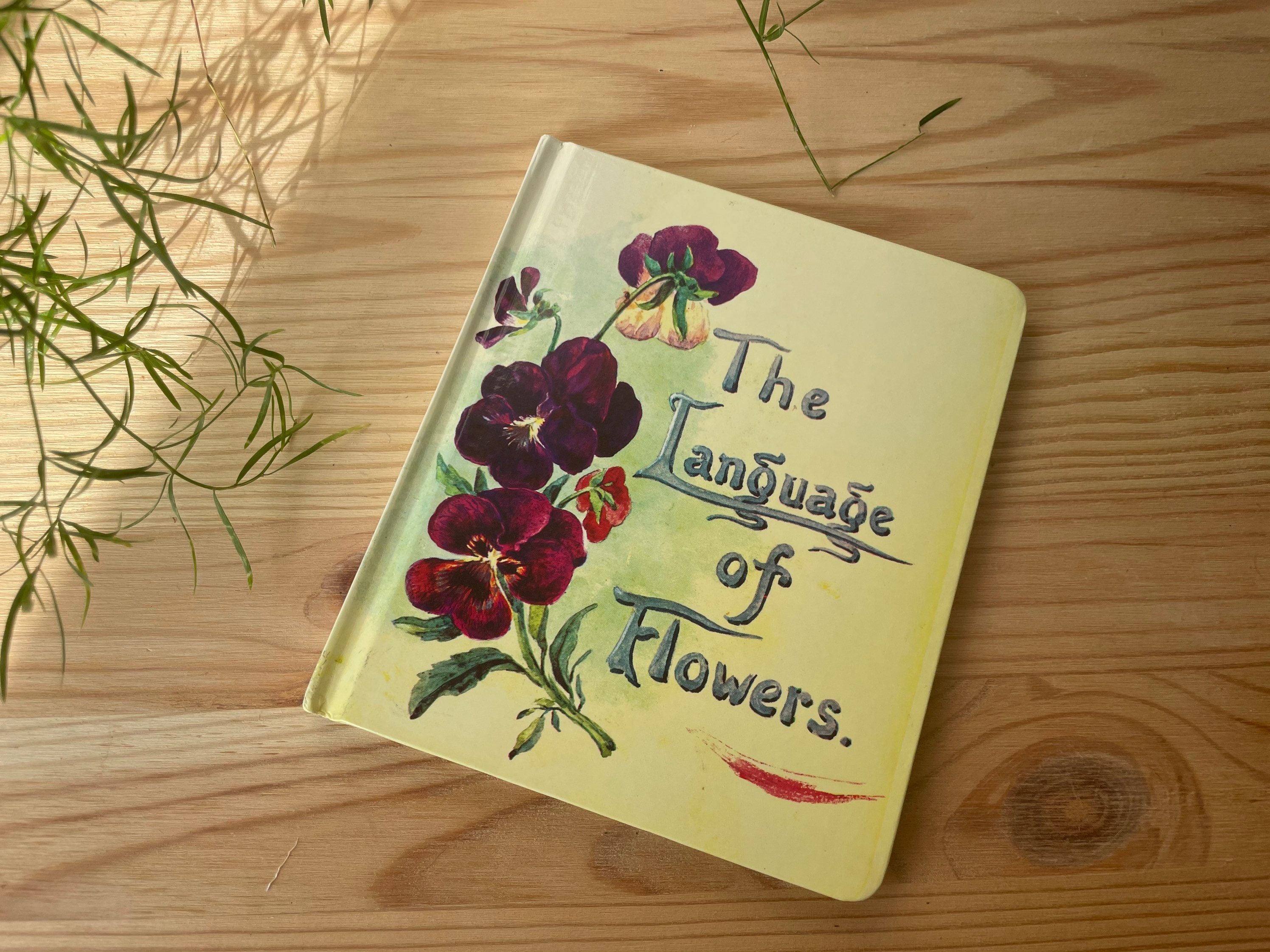 Vintage 1994 Imprint of The Language of Flowers Book Vintage Etsy