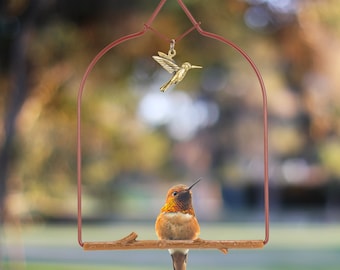 Pop&#39;s Birding Charm Hummingbird Swing, The Original Charm Humming Bird Swing for Outdoors - 100% Made in USA with hook included