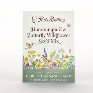 Kolibri & Schmetterling Wildblumen Bestäuber Samen Mix