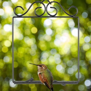 May include: A black metal bird swing featuring a rectangular frame with decorative scrollwork at the top. A small hummingbird with iridescent green, orange, and brown feathers is perched on the horizontal bar at the bottom of the frame.