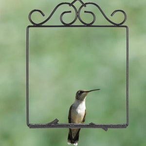 Pop's Birding Original Hummingbird Swing, The Original Humming Bird Swing for Outdoors - 100% Made in USA