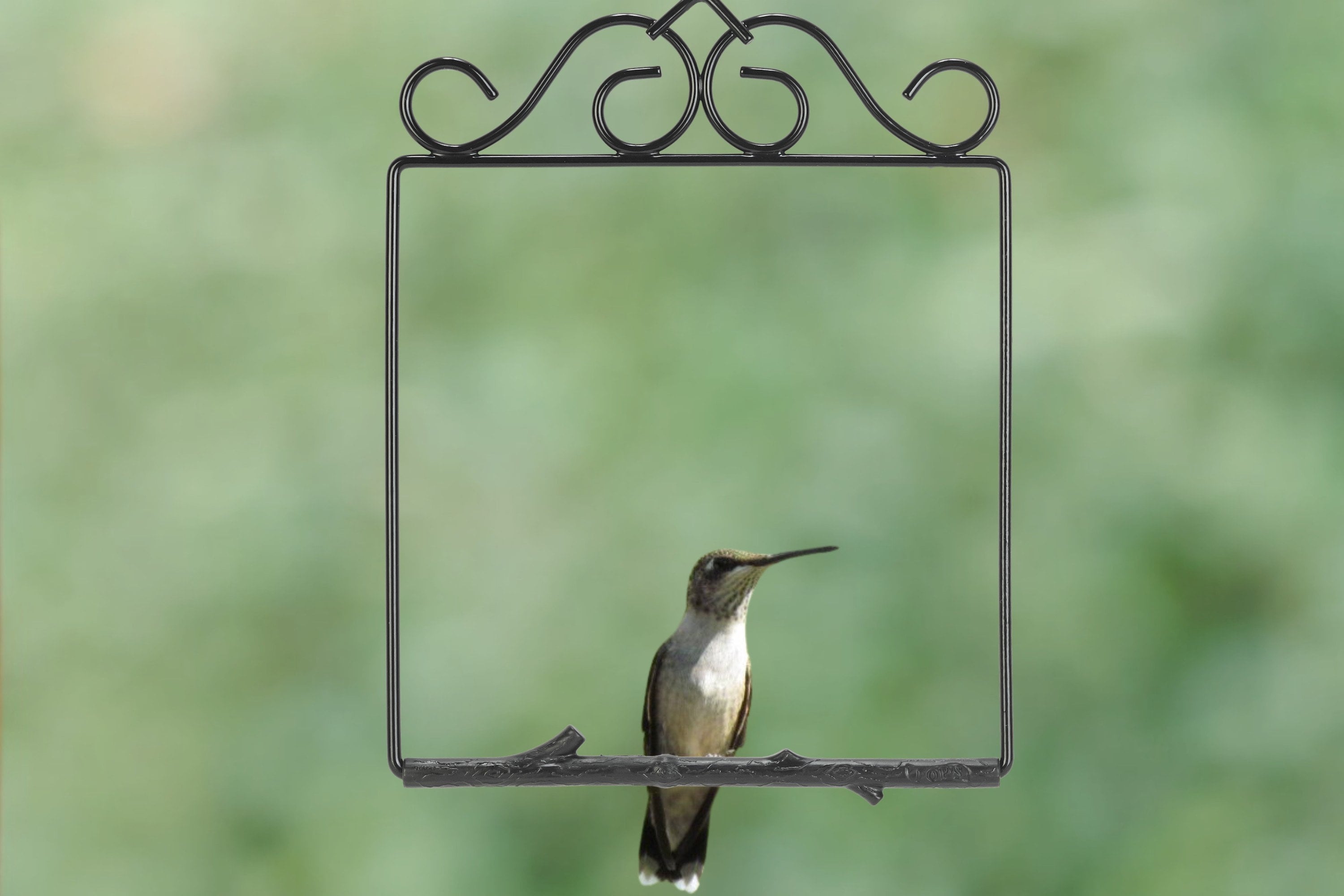 Pop's Birding Original Hummingbird Swing, The Original Humming Bird Swing for Outdoors - 100% Made in USA