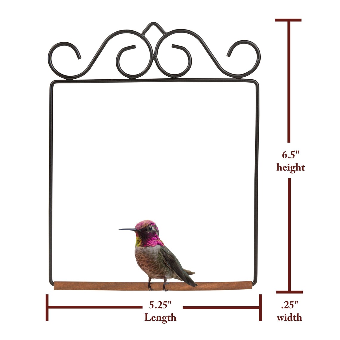 POP'S Hummingbird Swing Original Black Etsy