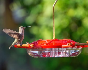 Pop's Birding AspenPerch® Hummingbird Feeder, 8 oz Feeding Capacity