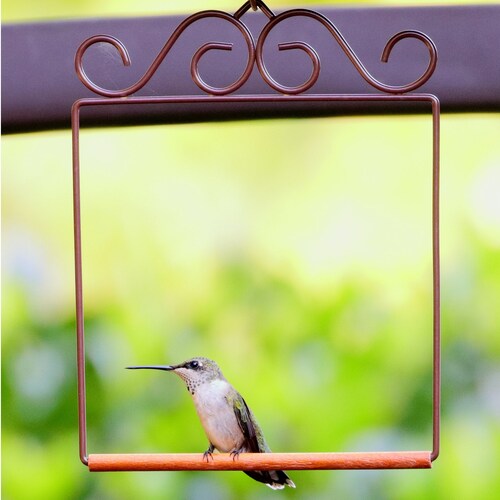 Hummingbird Swing Etsy